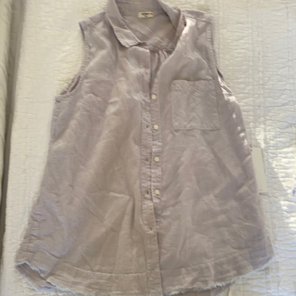 Dylan lavender gingham frayed button down sleeveless top